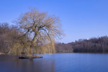 Insel mit Baum im See