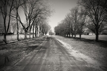 winding road in the winter black and white