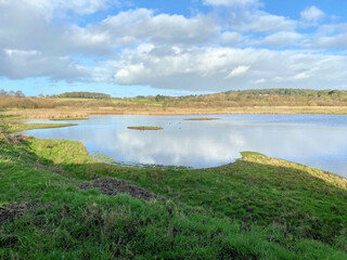 A view of Burton Mere Wetlands