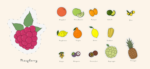 Set of vector illustrations. Drawing fruit icons in doodle style. All popular fruits.