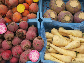 collection red and yellow beets and parsnips in blue crates