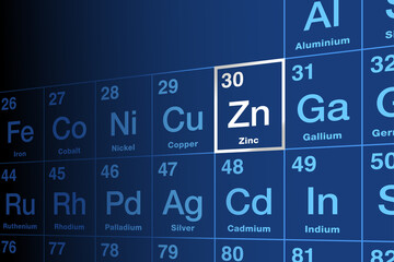 Zinc on periodic table of the elements, with symbol Zn from German word Zinke, with atomic number 30. Slightly brittle metal and an essential mineral, necessary for prenatal and postnatal development. - obrazy, fototapety, plakaty