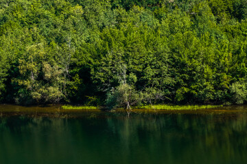 Trekking in the forest of Fraktos - Nestos - Rhodope - Paranesti - Greece