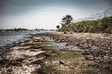 Dead Horse Bay - Brooklyn NY