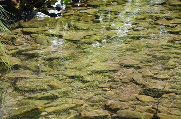 clean river stream with stones at the bottom. clear water. background water
