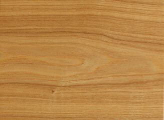Fototapeta premium background texture natural veneer is an environmentally friendly material for the manufacture of interior doors and furniture for home and office