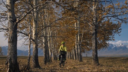 The woman travel on mixed terrain cycle touring with bikepacking. The traveler journey with bicycle bags. Sportswear in green black colors. The trip in magical autumn forest, arch, alley, avenue.