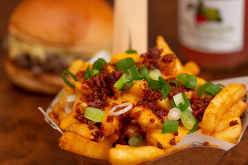 French Fries with Melted Mix of Shredded Cheese and Bacon - Background Burger