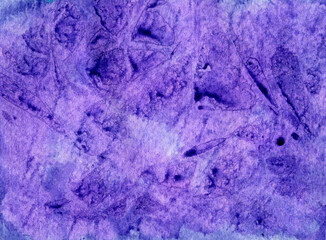 Abstract art background purple and lilac colors. Watercolor painting on canvas with soft violet gradient. Fragment of red artwork on paper with flower pattern. Texture backdrop, macro.