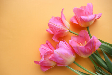 greeting card layout. bouquet of pink tulips on a yellow background and space for text