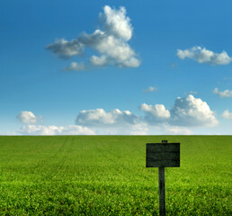Pointer sign set on a background of green meadow and blue sky.