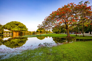 Summer mornings - GRANADA golf course - coral gables