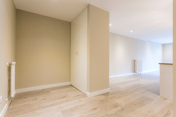 Hall with closet of an empty apartment