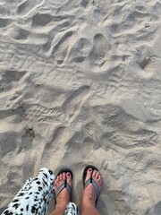 Female feet on white sandy beach