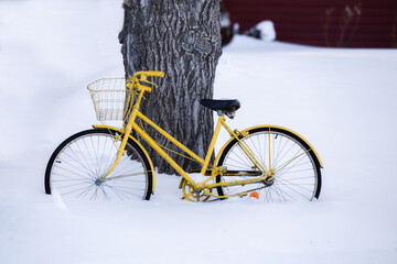 A retro repainted yellow bicycle leaning against a tree trunk in white winters snow