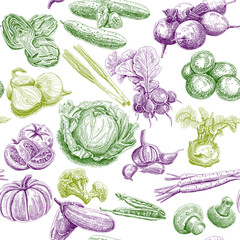 Vegetable colorful seamless pattern. Sketchy vector hand-drawn background.