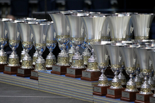 Winner's Gold Metal Trophy For Victory, Mastery Or Achievement, Pride And Sports Achievement