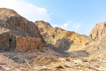 Fototapeta premium Wild sand rock mountains panorama view in desert in Egypt, valley, sunny hot summer nature vacation travel landscape