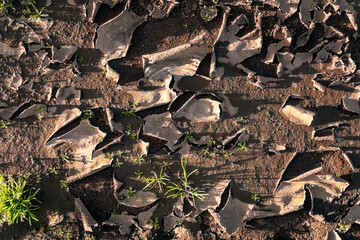 a close up of a dried puddle