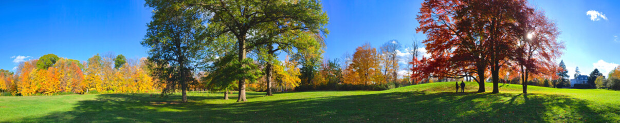 Panoramic view of autumn leaf colour in the park with lens flare