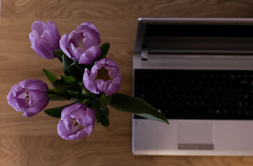 top view of tulips standing on a wooden table next to a laptop