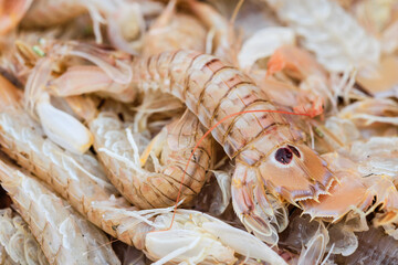 Fresh fish, sea food, oysters, shrimps, prawn on shelf in Sicily, Italy fish market