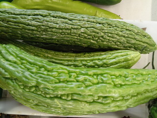Fresh bitter gourd at the market that is ready for sale