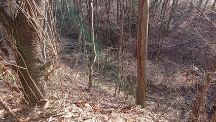 枯れた小川