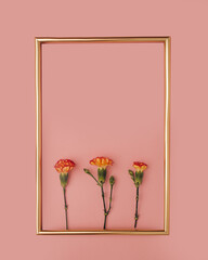 Gold text frame on a pink background with three small, beautiful, orange flowers