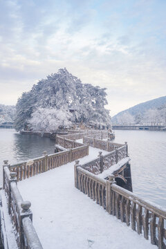 Winter snow scene in Lushan 5A Scenic Area, Jiujiang City, Jiangxi Province