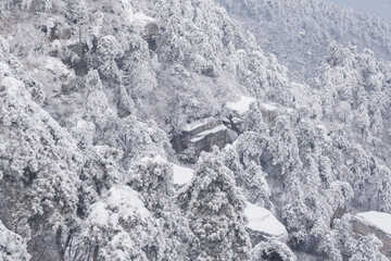 Winter snow scene in Lushan 5A Scenic Area, Jiujiang City, Jiangxi Province