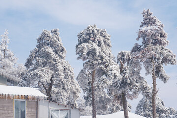 Winter snow scene in Lushan 5A Scenic Area, Jiujiang City, Jiangxi Province
