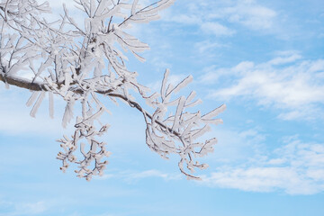 Winter snow scene in Lushan 5A Scenic Area, Jiujiang City, Jiangxi Province