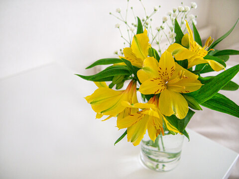 ブーケトス の画像 730 件の Stock 写真 ベクターおよびビデオ Adobe Stock