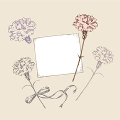 カーネーションのイラストベクター