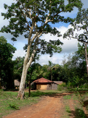 A village house in dense forest in Karnataka.