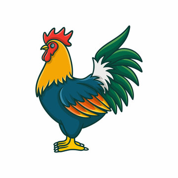 animals cartoon illustration a rooster is walking looking for food