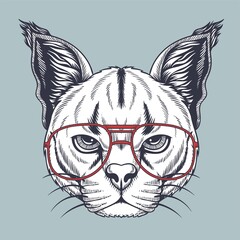 Caracal wild cat hand drawn wearing a red glasses
