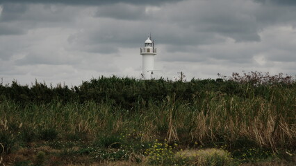 lighthouse on the island 