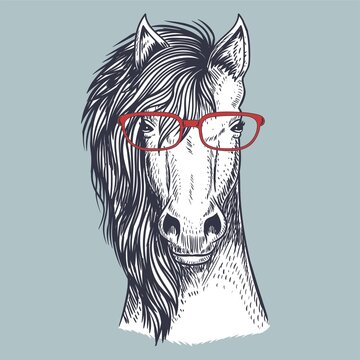 Horse Hand Drawn Wearing A Red Glasses