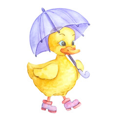Watercolor duckling with a purple umbrella in pink boots