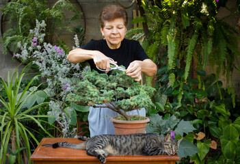 Woman pruning a bonsai whith scissors with a pet in a garden