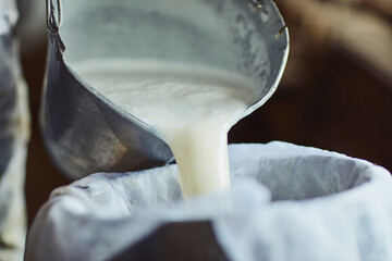 The steps to making cheese. Cropped shot of an unrecognizable male farmer pouring unprocessed milk into a container inside a barn. © Nola Viglietti/peopleimages.com
