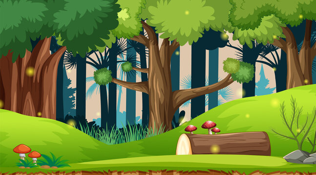 Nature outdoor forest background