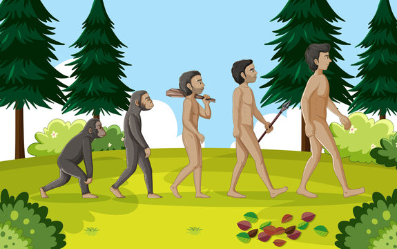 5 stages of human evolution cartoon