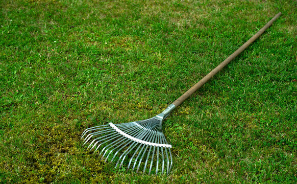 A metal fan rake with a wooden handle lies on the green grass.Cleaning of the territory. Cleaning the garden from garbage.