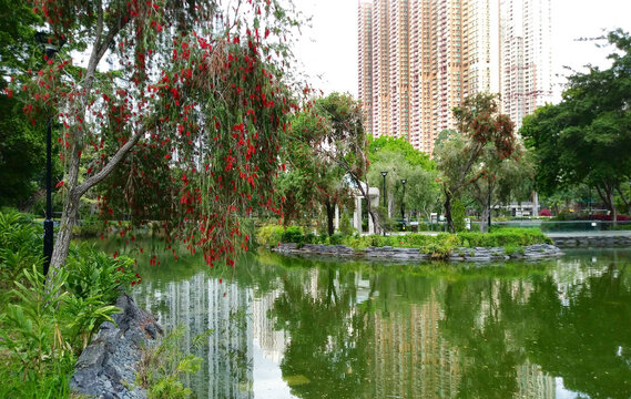 Lago do parque tin shui wai em hong kong