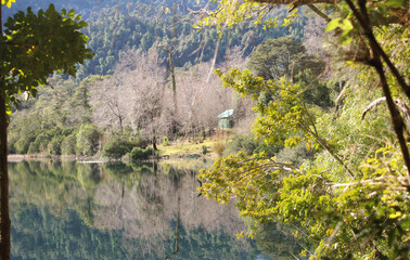 Fototapeta na wymiar Lago em meio a um bosque e cabana nas margens