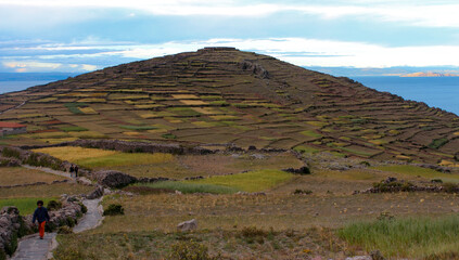 Plantação sobre um morro, próximo a Puno do Peru