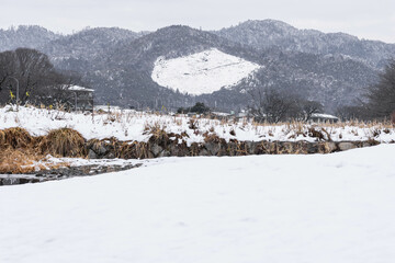 京都　鴨川の雪景色